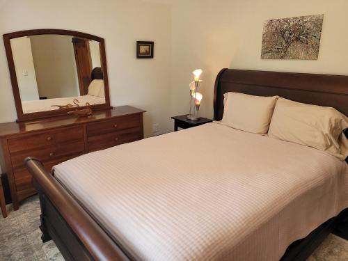 a bedroom with a large bed and a mirror at The Glarum House - Gorgeous Historic Home & Ac! in Elberta