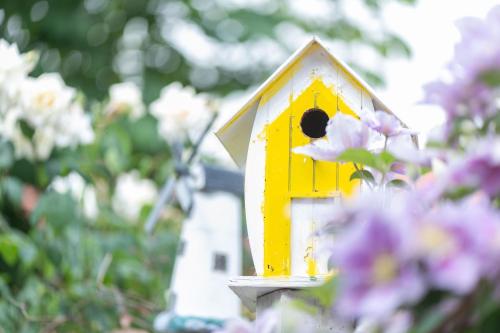 a yellow bird house sitting on top of flowers at Ferienwohnung Am Walde 35177 in Hesel