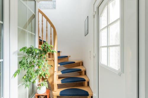 a staircase with blue cushions and a plant at Ferienwohnung Am Walde 35177 in Hesel