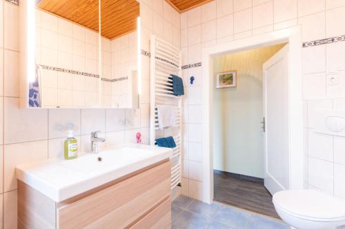 a bathroom with a sink and a toilet at Huus de Freese 35224 in Beningafehn