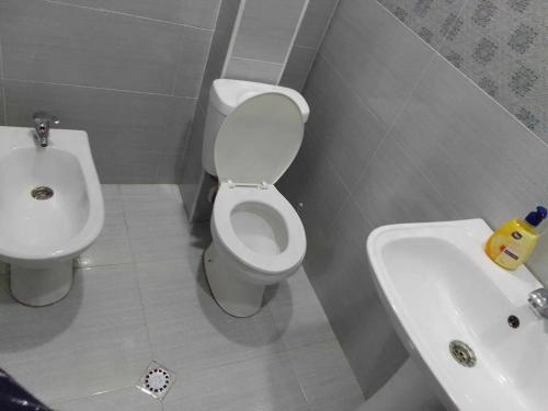 a bathroom with a toilet and a sink at Resort Hotel BIJNISI in Surami