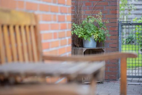 a bench and two potted plants on a brick wall at Ferienwohnung Pop s Huus 35226 in Holtland