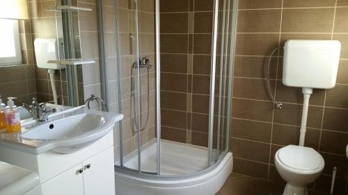 een badkamer met een douche, een toilet en een wastafel bij Apartments Buturić in Sali