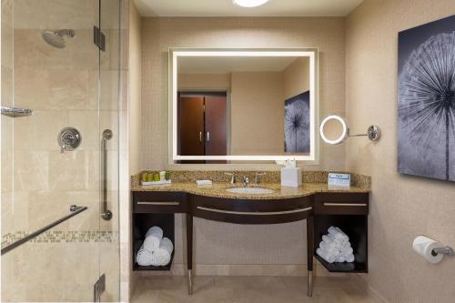 a bathroom with a sink and a shower and a mirror at Hilton Americas - Houston in Houston