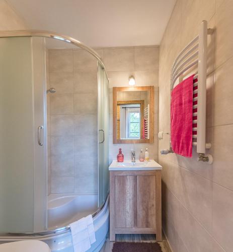 a bathroom with a shower and a sink at Willa Orle Gniazdo in Biała Woda