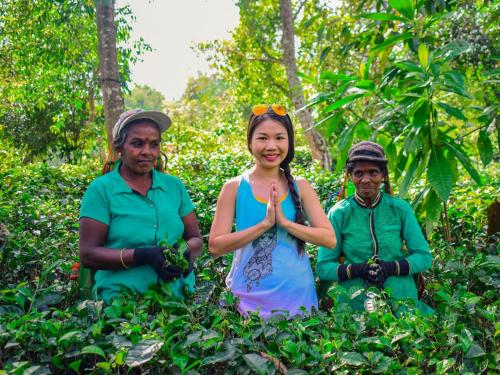 a group of three people standing in a forest at Aqua Dunhinda Villa in Kandy