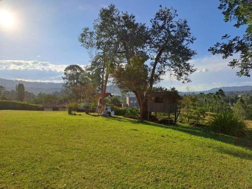a green field with a tree and a house at Finca las Flores - Guarne Antioquia in Guarne
