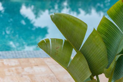Swimmingpoolen hos eller tæt på Vista Marina Apartamentos Turisticos
