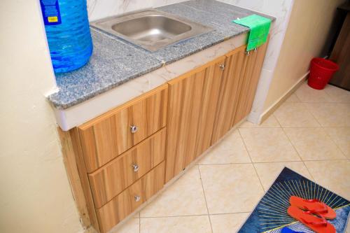 ナイロビにあるFirstChoice Homestayのシンクとカウンタートップのあるキッチン