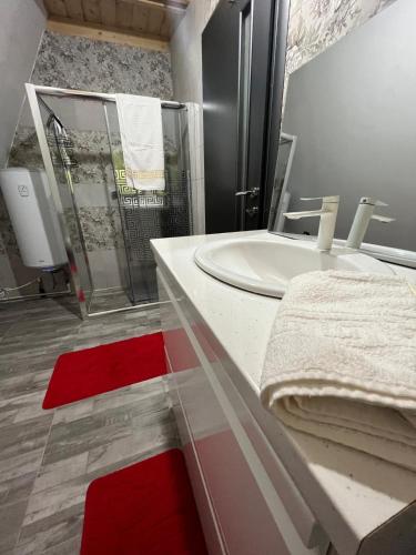 a bathroom with a white sink and a red rug at Cabana A Morarului in Teiuş