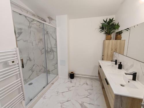 une salle de bain avec deux lavabos et une douche dans l'établissement Appartement Le Tranquille centre ville Rouen, à Rouen