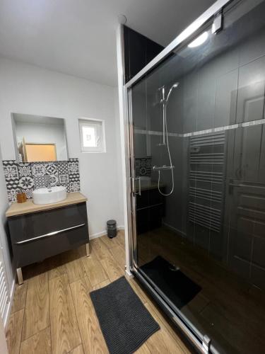 a bathroom with a shower and a sink at Jolie petite maison in Saint-Vaast