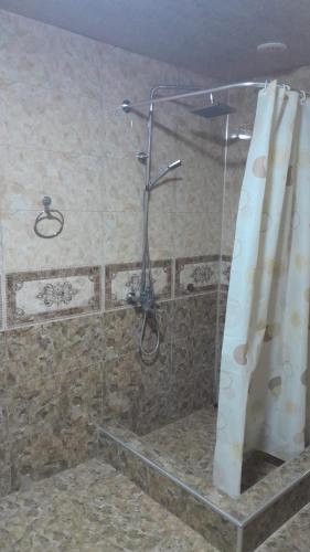 a shower with a glass door and a shower curtain at Armen bed and breakfast in Halidzor