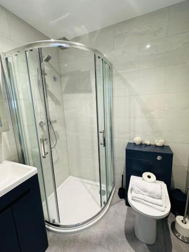 a bathroom with a shower and a toilet and a sink at Number 9 Croft House Tenby in Tenby