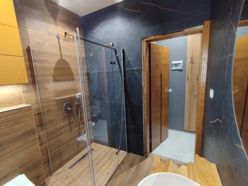 a bathroom with a shower and a toilet at ELFF -Apartamenty i pokoje gościnne in Cisna