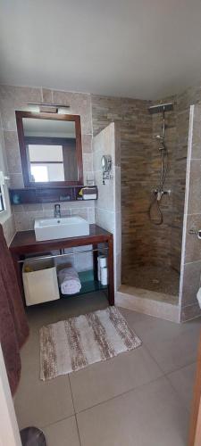 a bathroom with a sink and a shower with a mirror at Villa Vénus Amazing view in Cul de Sac