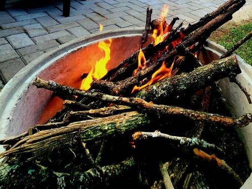a fire pit with a bunch of branches and flames at The Barn at Tembele in Dalmada AH
