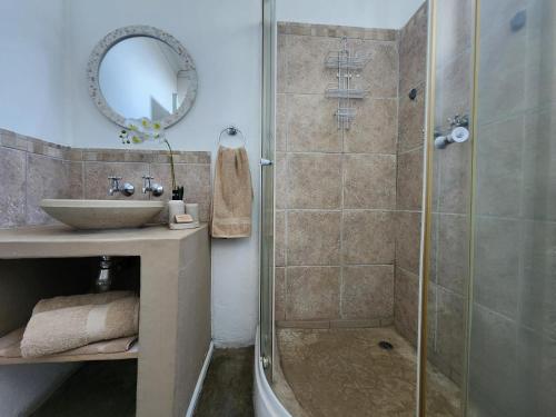 a bathroom with a shower and a sink at The Barn at Tembele in Dalmada AH