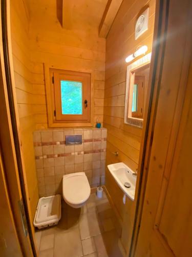 une petite salle de bain avec toilettes et lavabo dans l'établissement Bienvenue dans notre chalet à Saint-Gervais-les-Bains, à Saint-Gervais-les-Bains