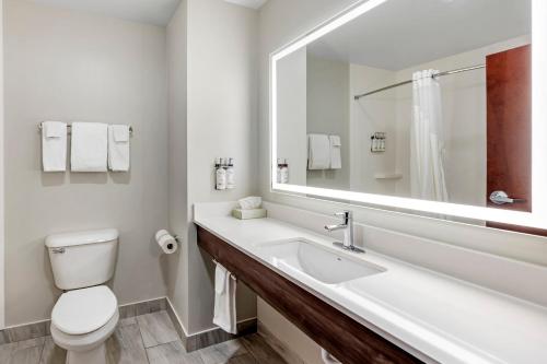 a bathroom with a sink and a toilet and a mirror at Holiday Inn Express White House by IHG in White House