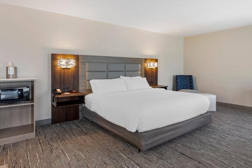 a bedroom with a large bed and a television at Holiday Inn Express White House by IHG in White House