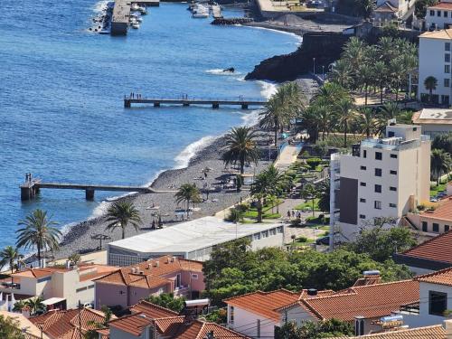 a view of a beach with palm trees and buildings at The View in Santa Cruz