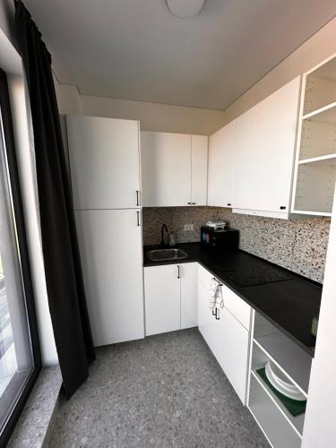 Køkken eller tekøkken på Studioul Epava