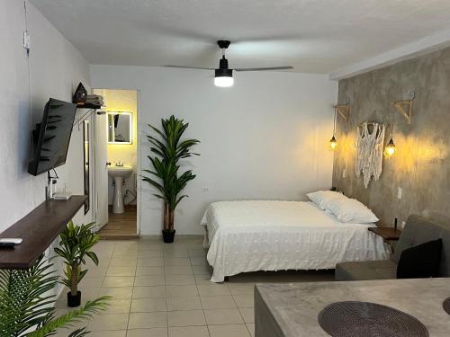 a bedroom with a bed and a tv in a room at Estudio céntrico con diseño industrial in San José del Cabo