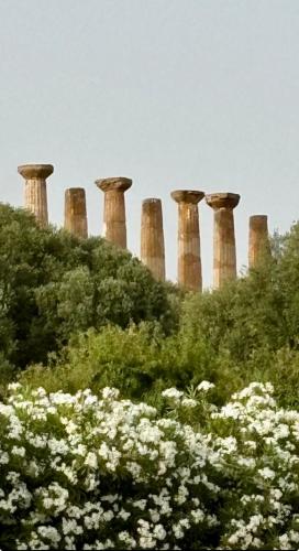 a group of stone structures on a hill with flowers at Nella valle dei templi e al mare in Villaggio Mosè