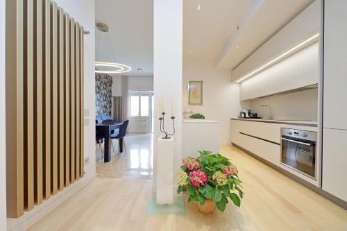 ローマにあるOn Rome Affittacamere o GuestHouseのキッチン、リビングルーム(中央に植物あり)