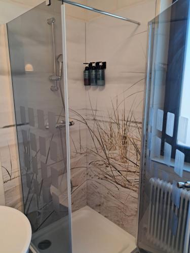 a shower with a glass door in a bathroom at Apartmenthaus Hinterer in Bad Goisern