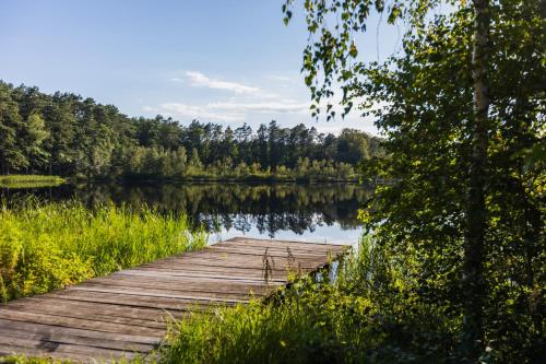 a wooden bridge over a lake next to a forest at Łasko - Wildlife Phototherapy - 4 luksusowe, klimatyzowane wille, z dostępem do oddalonego o 5 min spacerem prywatnego terenu rekreacyjnego in Bierzwnik