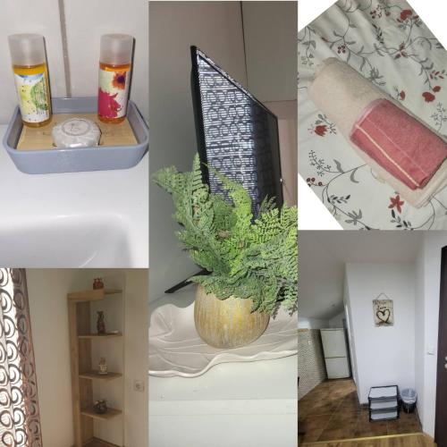 Un collage de imágenes con una planta en una maceta. en Apartman Centar Strpce, en Štrpce