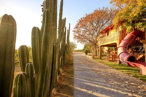 a road with a bunch of cactus next to a building at Hacienda Maria Eugenio in Guanajuato