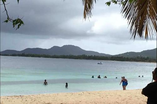 a group of people in the water at a beach at Apartamentos en VIQUES Puerto Rico in Vieques