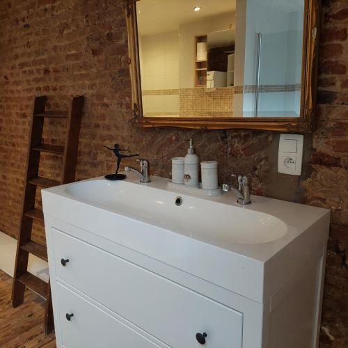 a bathroom with a white sink and a mirror at Zuiderzin in Antwerp