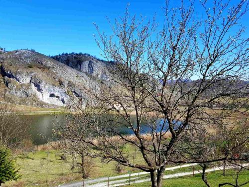 a tree in front of a fence next to a lake at Detached house Milivoje in Pošćenje