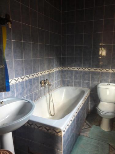 a bathroom with a tub and a toilet and a sink at Louisiana Guest House in Ambohibao
