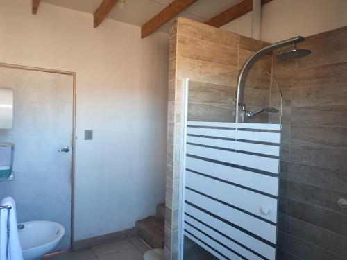 Un baño de Tambo Norte