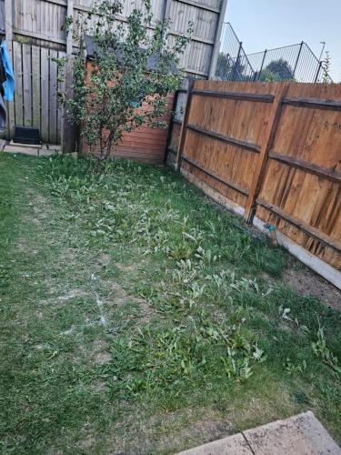 a yard with a wooden fence and grass at Fabulous guest house in Dartford in Kent
