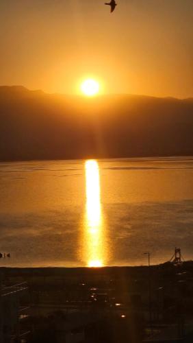 a bird flying over the ocean at sunset at Lake Dream 1 in Sretenovo