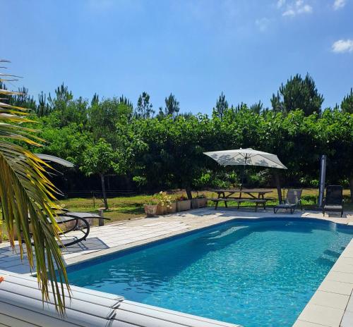 une piscine avec une table et un parasol dans l'établissement DOMAINE LARBUT, à Saint-Paul-lès-Dax
