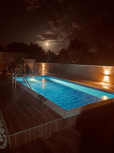 Πισίνα στο ή κοντά στο Villa D&S garden pool