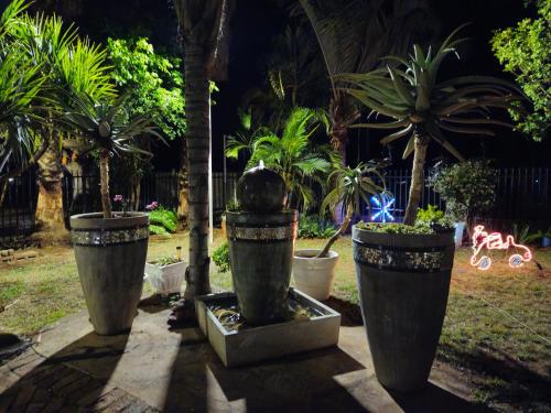 a group of potted plants in a garden at night at Light House Lodge in Bela-Bela