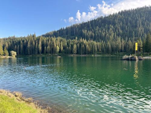a lake in the middle of a forest at Ski in-Ski Out Studio in Laax