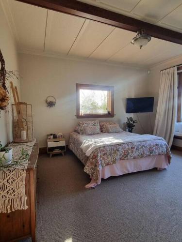 a bedroom with a large bed and a window at Views on the Terrace in Napier