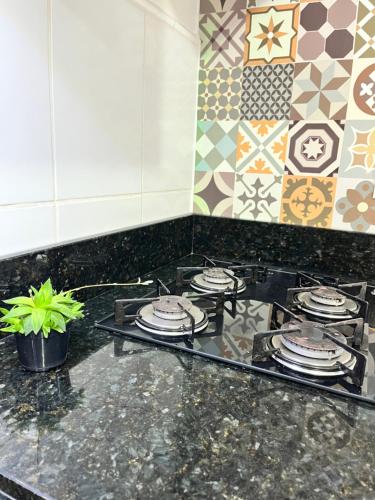 a kitchen with a stove top with a potted plant at Apê aconchego in Brusque