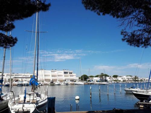 Studio-Cabine 4 Pers, Terrasse, Jardin, Parking, Animaux admis - FR-1-731-99