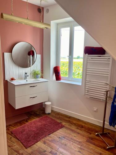 une salle de bain avec un lavabo, un miroir et une fenêtre dans l'établissement Les hirondelles du marais, à Riom