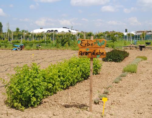 a sign that says eye anticipate in a garden at Cascina Bosco Gerolo in Rivergaro